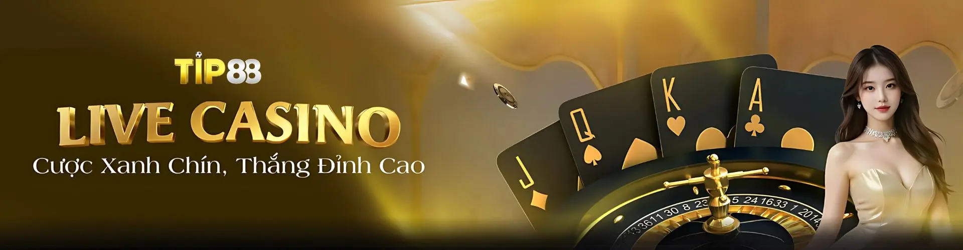 tip88 banner